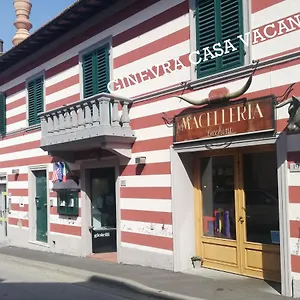 Ginevra , Panzano in Chianti Italia