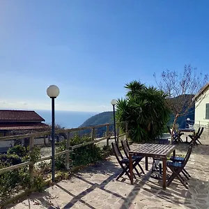 L'ulivo E Il Mare Itálie
